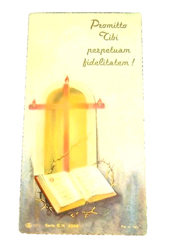 P magnificate dominum - x.,